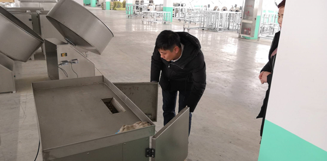 湯圓、元宵制陷機.jpg